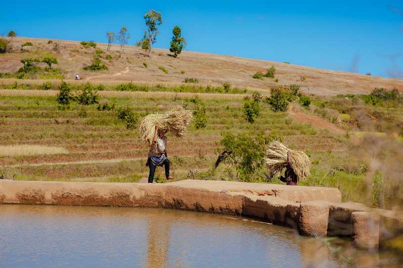 Zwei Arbeiter auf einem Feld in Madagaskar
