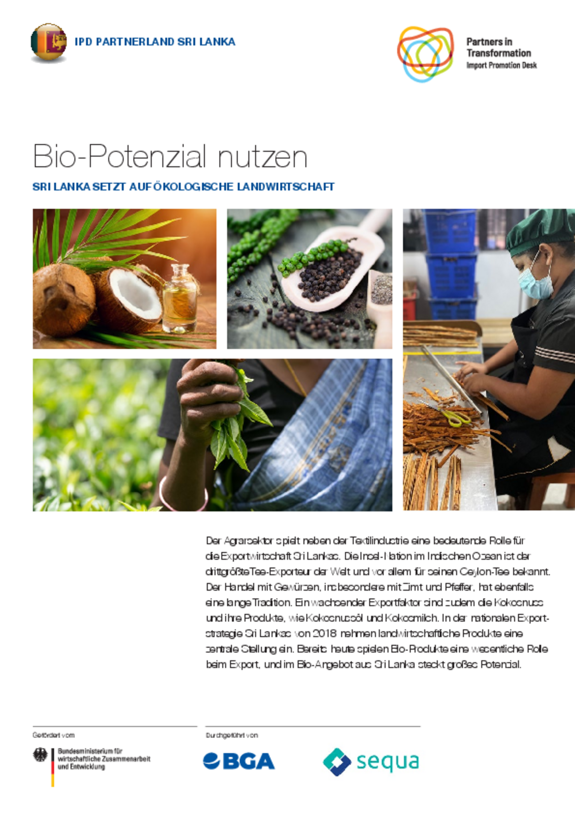 PDF Länderreport zum Download