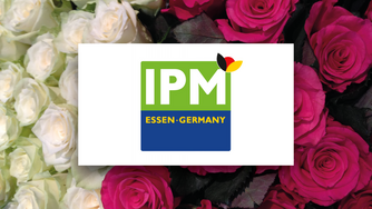 [Translate to Englisch:] 