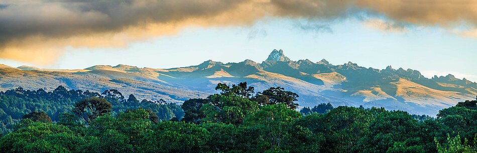 A Kenyan landscape with trees and mountains