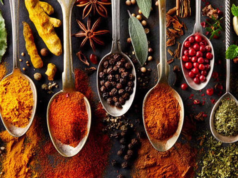 A selection of different spices is presented on spoons