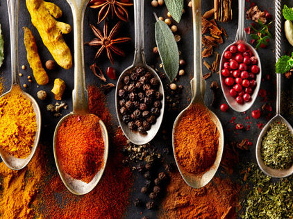 A selection of different spices is presented on spoons