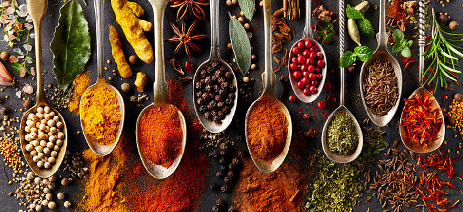 A selection of different spices is presented on spoons