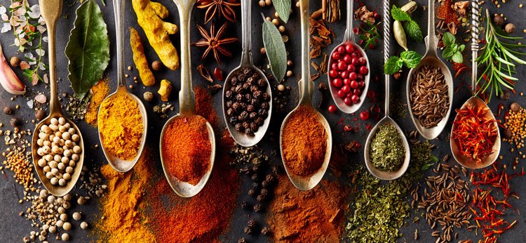 A selection of different spices is presented on spoons
