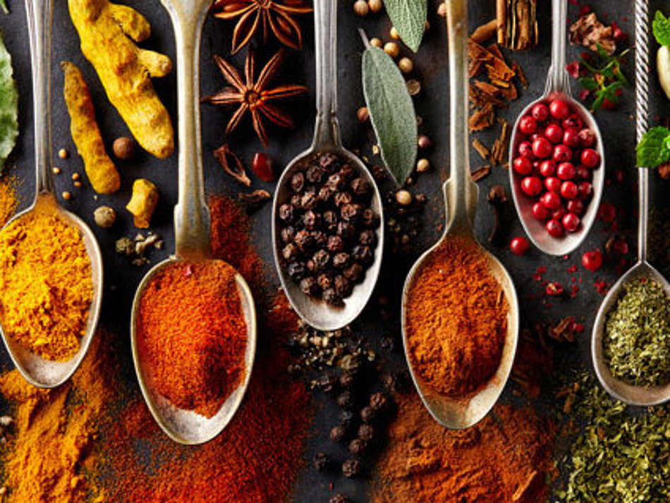 A selection of different spices is presented on spoons