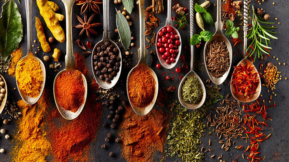A selection of different spices is presented on spoons