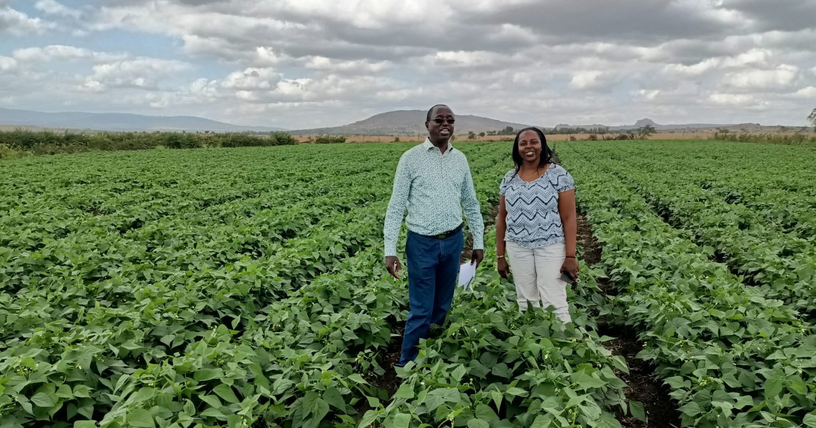 IPD | Import from Kenya - IPD