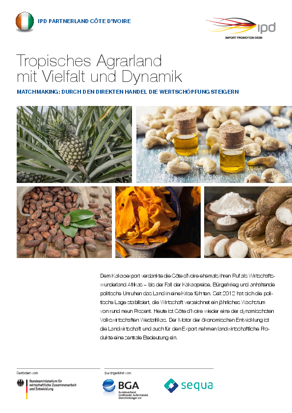PDF Länderreport zum Download